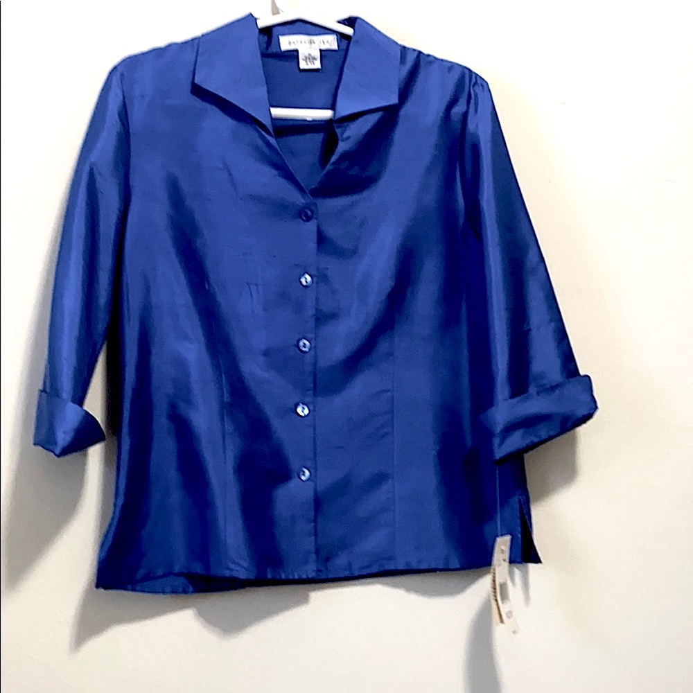 NWT Pursuits, Ltd. Blue Silk Blouse 3/4 Sleeves